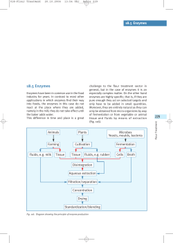 18.5 Enzymes, PDF