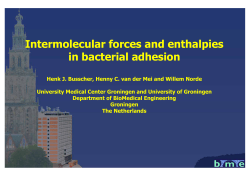 Intermolecular forces and enthalpies in bacterial adhesion