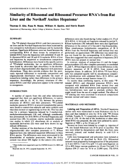 Similarity of Ribosomal and Ribosomal Precursor RNA`s from Rat