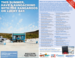 THIS SUMMER, HAVE A KANGACHINO WITH THE KANGAROOS