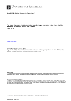 The state, the crisis of state institutions and refugee - UvA-DARE