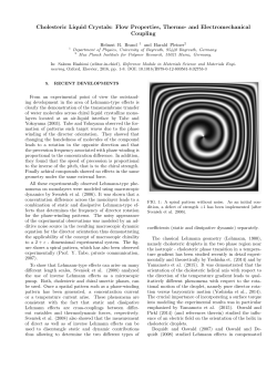 433 kB pdf-file - www2.mpip
