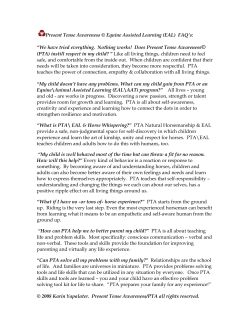 Present Tense Awareness &copy; Equine Assisted Learning (EAL) FAQ`s