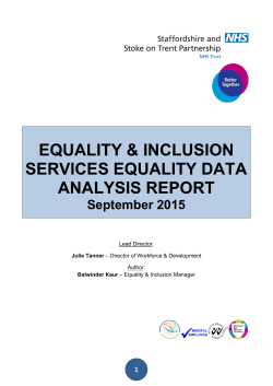 The Services Equality Data Analysis Report.