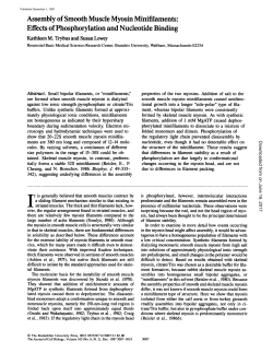 Assembly of Smooth Muscle Myosin Minifilaments