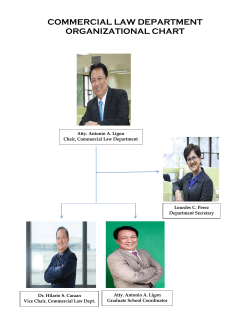 commercial law department organizational chart