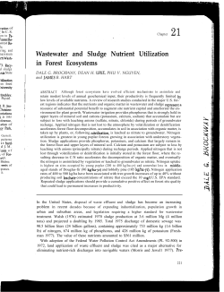 as a PDF