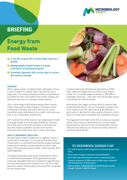 PDF - Microbiology Society