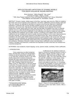 application and limitations of dynamic models for snow avalanche