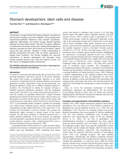 Stomach development, stem cells and disease