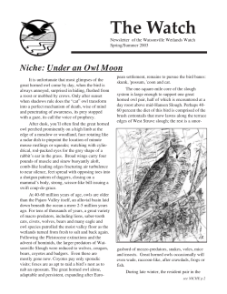 Spring/Summer 2003 issue of The Watch