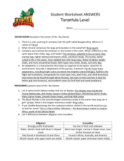 Tarantula Answers