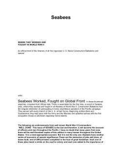Seabee unit History