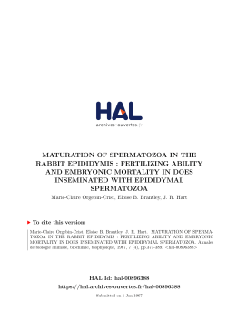 maturation of spermatozoa in the rabbit epididymis : fertilizing