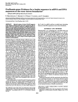 sequences at the exon