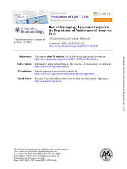 Role of Macrophage Lysosomal Enzymes
