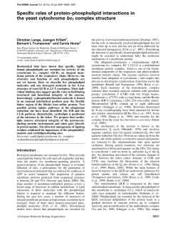 Specific roles of protein±phospholipid interactions in the yeast