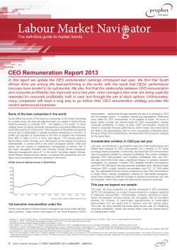 CEO Remuneration Report 2013