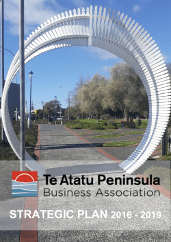 STRATEGIC PLAN 2016 - 2019 - Te Atatu Peninsula Business
