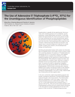 The Use of Adenosine 5`-Triphosphate for the Unambiguous