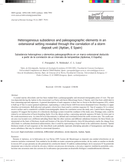 Heterogeneous subsidence and paleogeographic elements in an