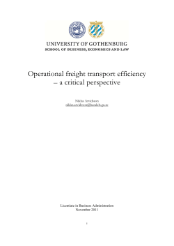 Operational freight transport efficiency &ndash; a critical perspective