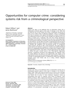 Opportunities for computer crime: considering systems risk from a