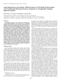 Luteal Regression in the Primate: Different Forms of Cell Death