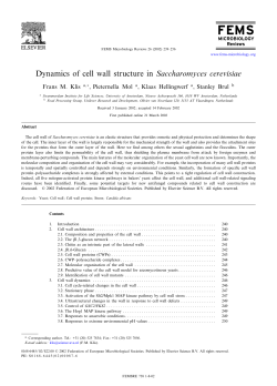 Dynamics of cell wall structure in