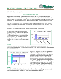 basic nutrition – liquid viewpoint