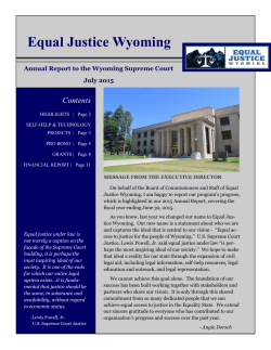 2015 Annual Report to the Wyoming Supreme Court