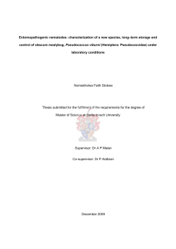 Entomopathogenic nematodes