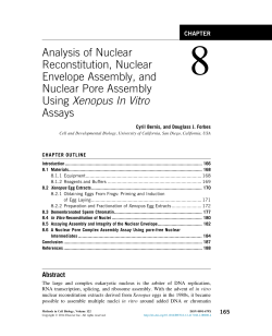 Analysis of Nuclear Reconstitution, Nuclear Envelope Assembly