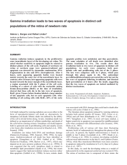Radiation-induced retinal apoptosis - Journal of Cell Science
