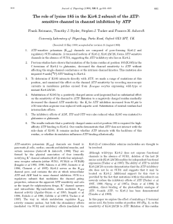The role of lysine 185 in the Kir6.2 subunit of the ATP
