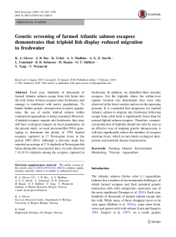 Genetic screening of farmed Atlantic salmon escapees