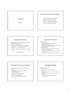 Excretion Functions of Excretory Organs Nitrogen Excretion