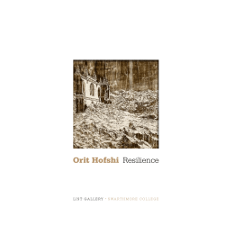 Orit Hofshi Resilience - Cade Tompkins Projects