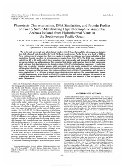 Phenotypic Characterization, DNA Similarities, and Protein Profiles