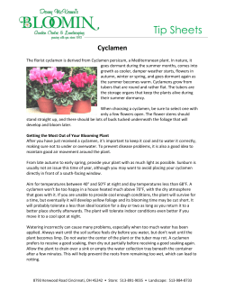 Tip Sheets - Bloomin Garden Center