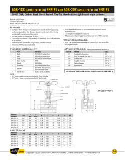60b-1xx (globe pattern) series and 60b-20x (angle