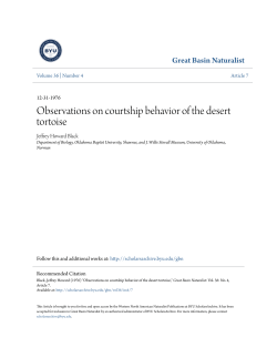 Observations on courtship behavior of the desert tortoise