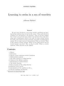 Learning to swim in a sea of wavelets