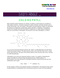 CHLOROPHYLL