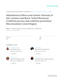 Hybridization Effects and Genetic Diversity of the Common and