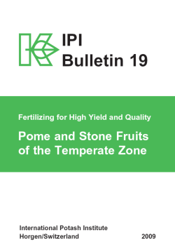 No. 19: Pome and Stone Fruits of the Temperate Zone