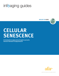 cellular senescence - American Federation for Aging Research