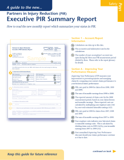 Executive PIR Summary Report