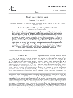 Starch metabolism in leaves