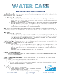 Ace Salt Sanitizing System Troubleshooting